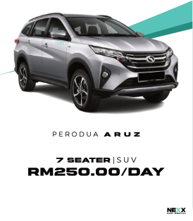 Flash Sale - Car Rental