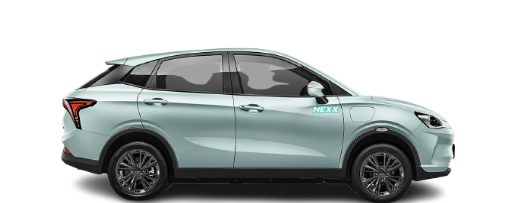 Neta V Car Rental